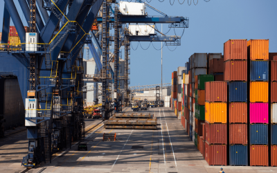 Do You Need an Import License in the US?
