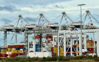 Importer of Record (IOR) in Mexico for Technology Companies