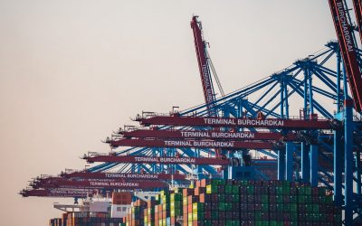 Advance Exchange vs Standard RMA Explained